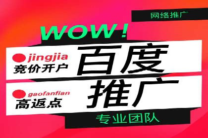 百度SEO推广策略案例：一家公司的成功转型之路